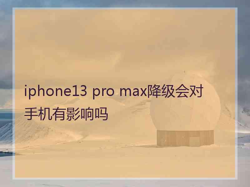 iphone13 pro max降级会对手机有影响吗