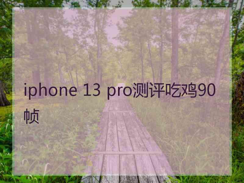 iphone 13 pro测评吃鸡90帧