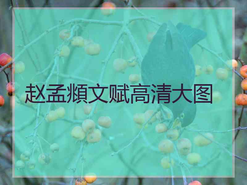 赵孟頫文赋高清大图