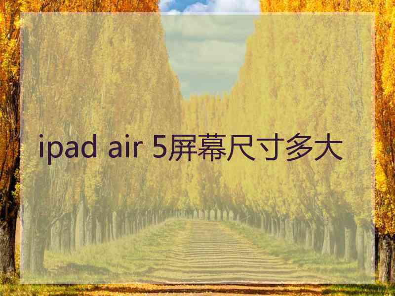 ipad air 5屏幕尺寸多大