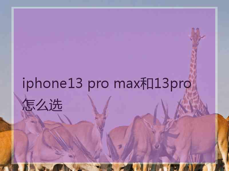 iphone13 pro max和13pro怎么选