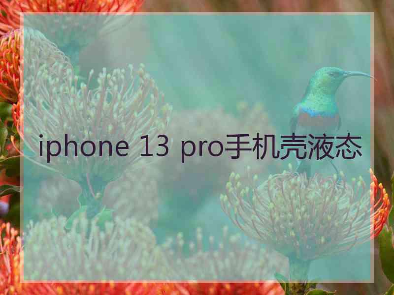 iphone 13 pro手机壳液态