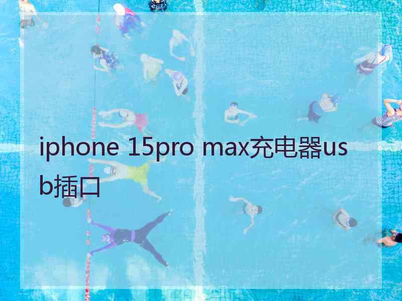 iphone 15pro max充电器usb插口