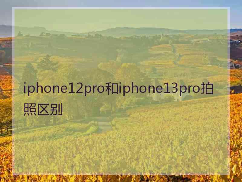 iphone12pro和iphone13pro拍照区别