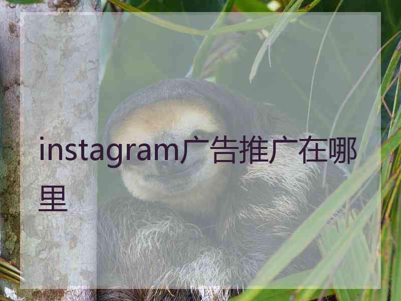 instagram广告推广在哪里