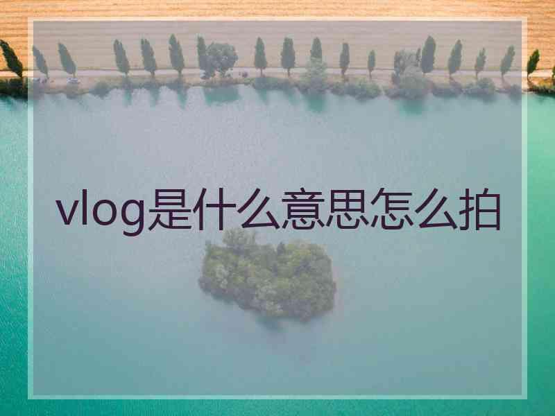 vlog是什么意思怎么拍