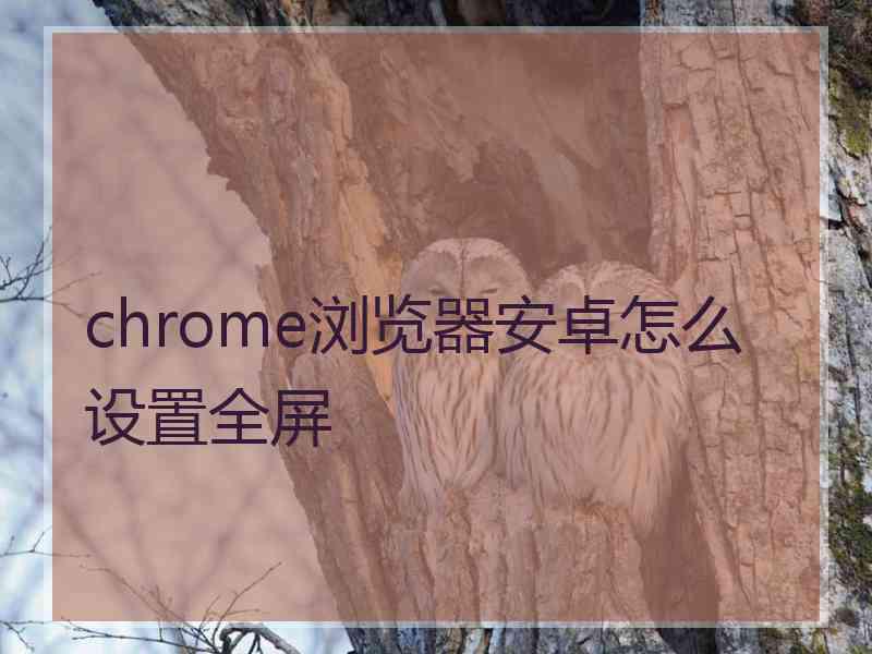 chrome浏览器安卓怎么设置全屏