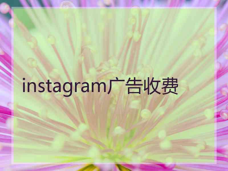 instagram广告收费