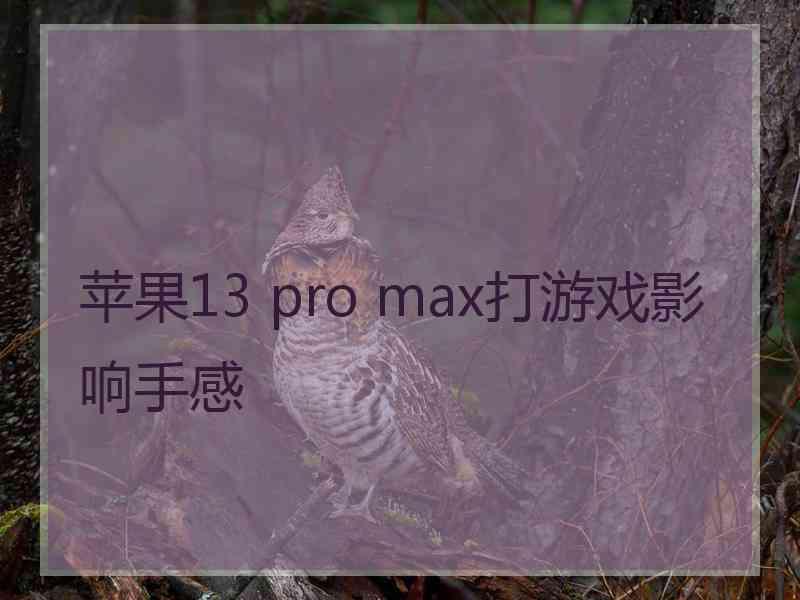 苹果13 pro max打游戏影响手感