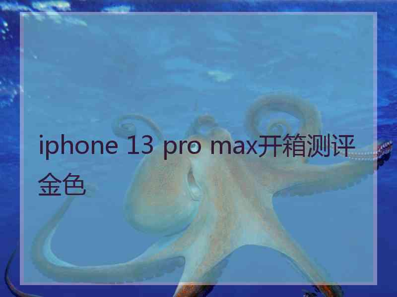 iphone 13 pro max开箱测评金色