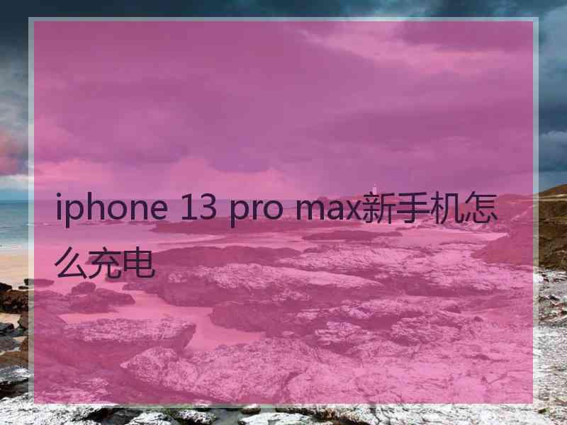 iphone 13 pro max新手机怎么充电