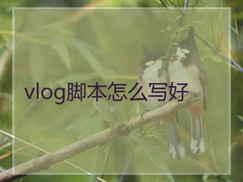 vlog脚本怎么写好