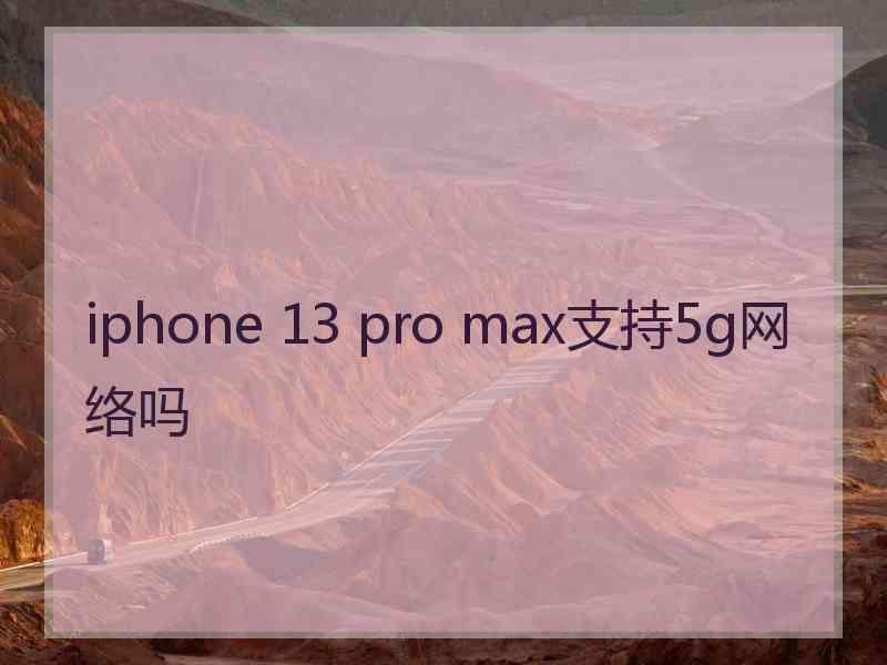 iphone 13 pro max支持5g网络吗