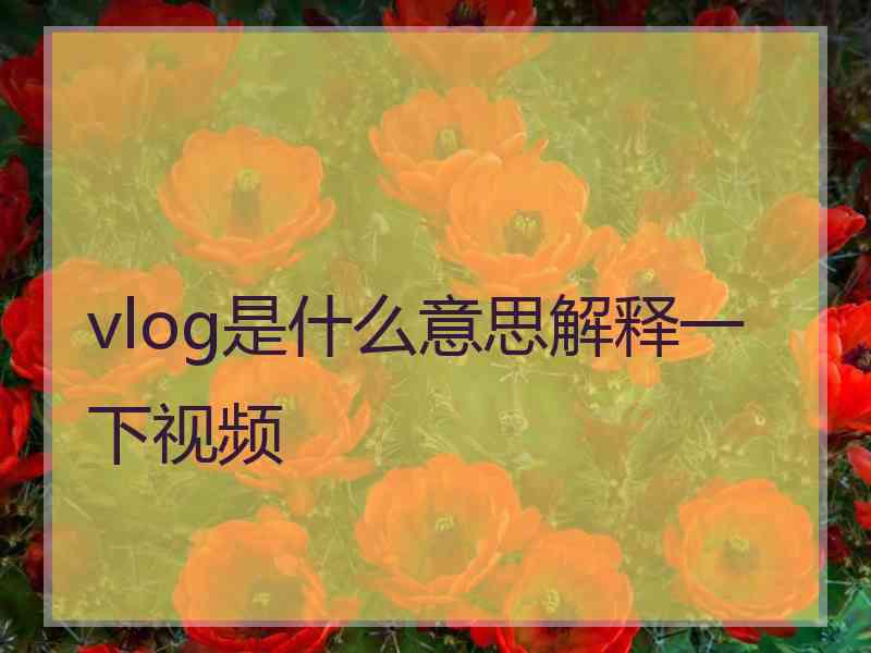 vlog是什么意思解释一下视频