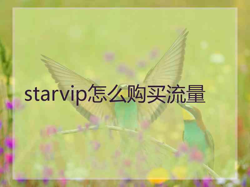 starvip怎么购买流量