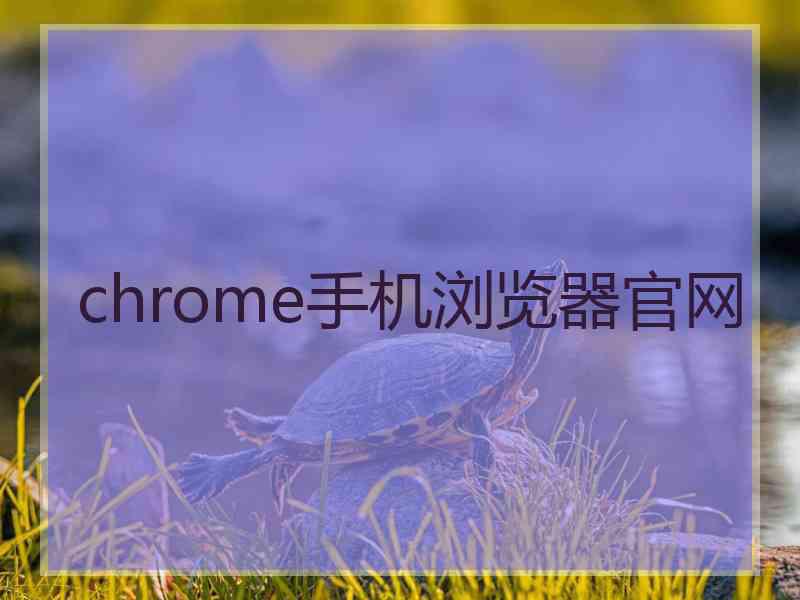 chrome手机浏览器官网