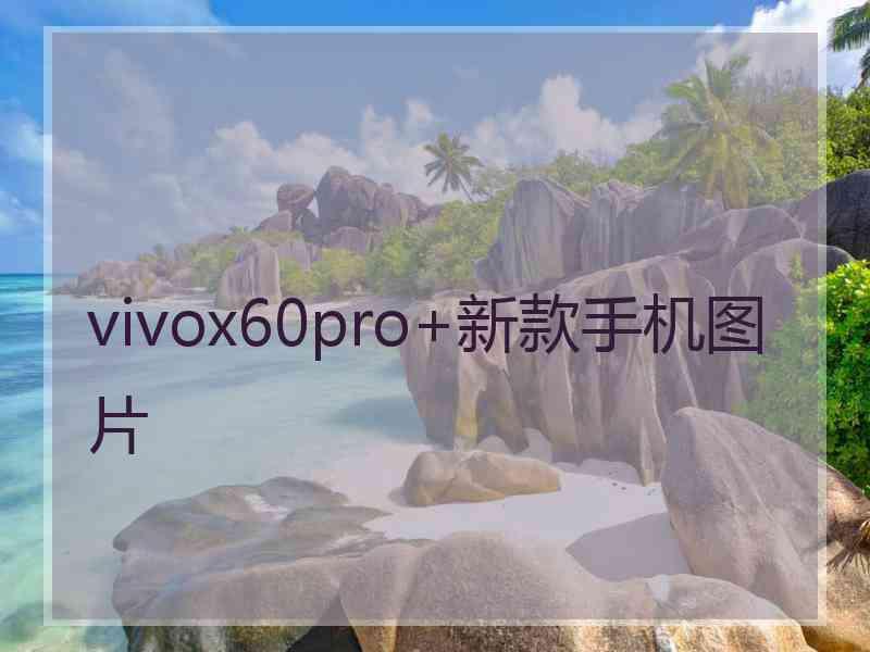 vivox60pro+新款手机图片