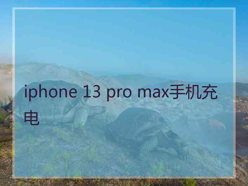 iphone 13 pro max手机充电