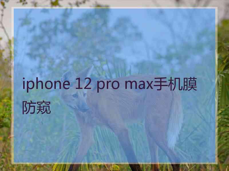 iphone 12 pro max手机膜防窥