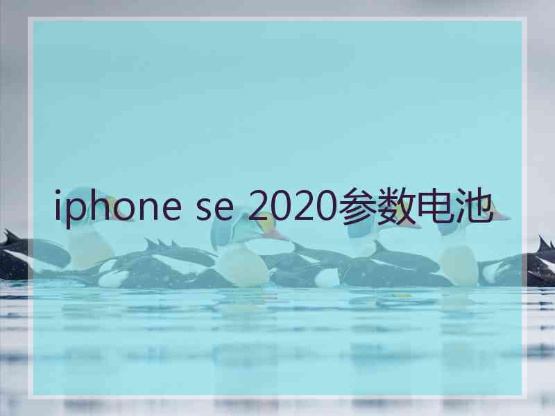 iphone se 2020参数电池