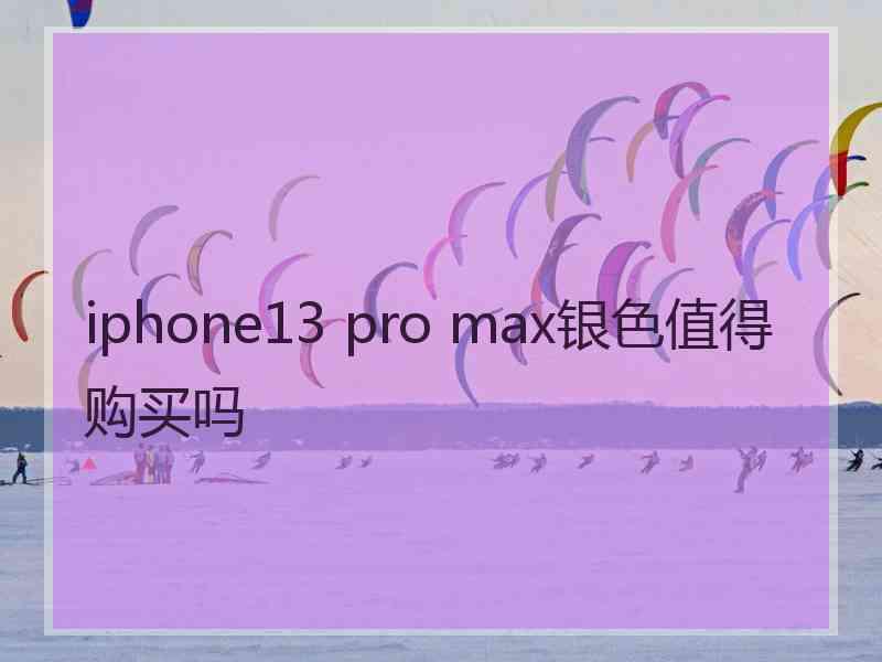 iphone13 pro max银色值得购买吗