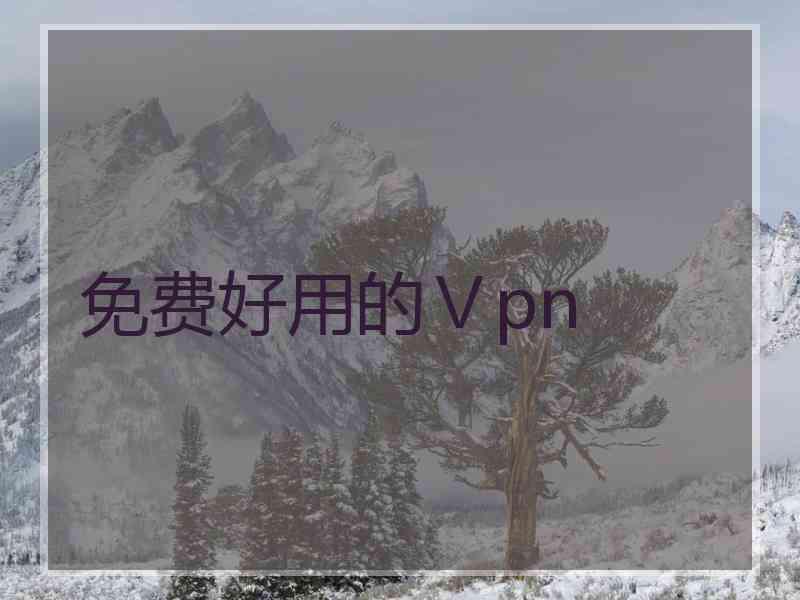 免费好用的Ⅴpn