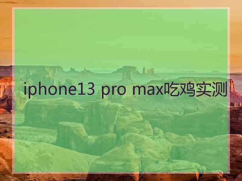 iphone13 pro max吃鸡实测