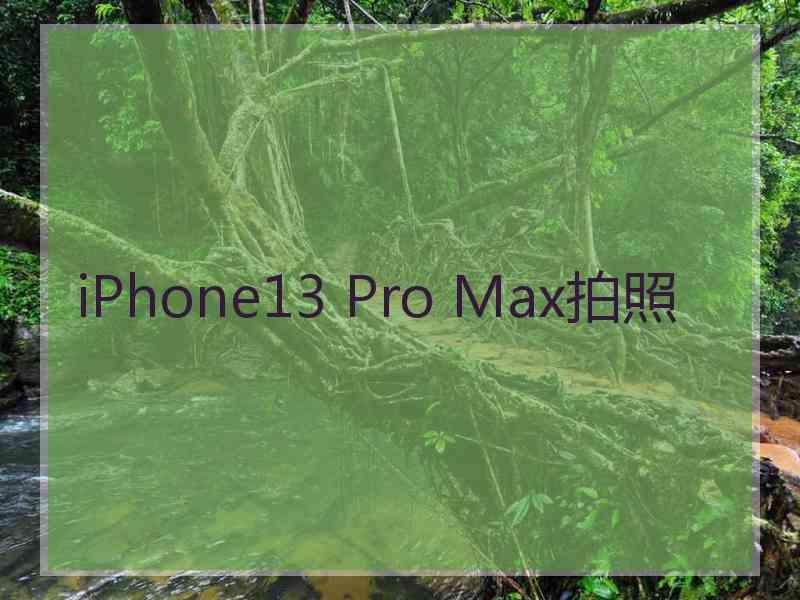 iPhone13 Pro Max拍照