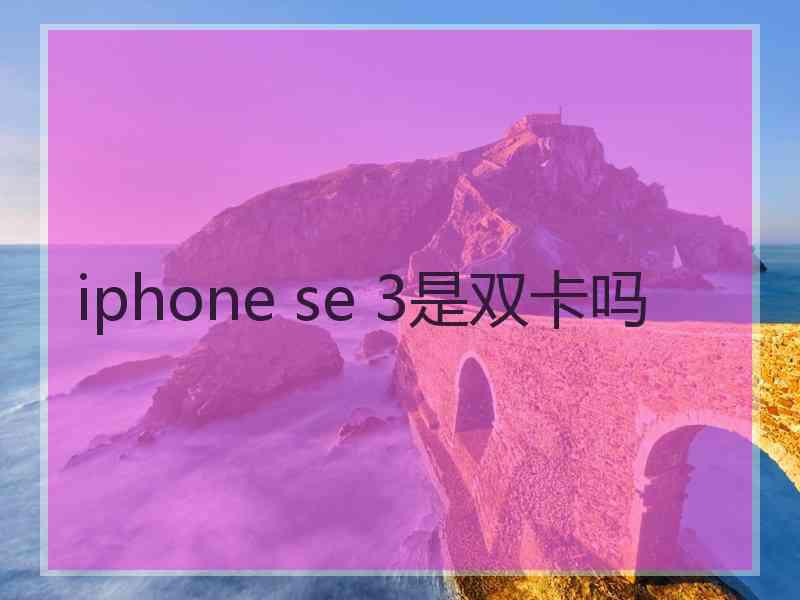 iphone se 3是双卡吗