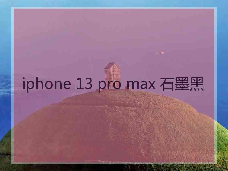 iphone 13 pro max 石墨黑