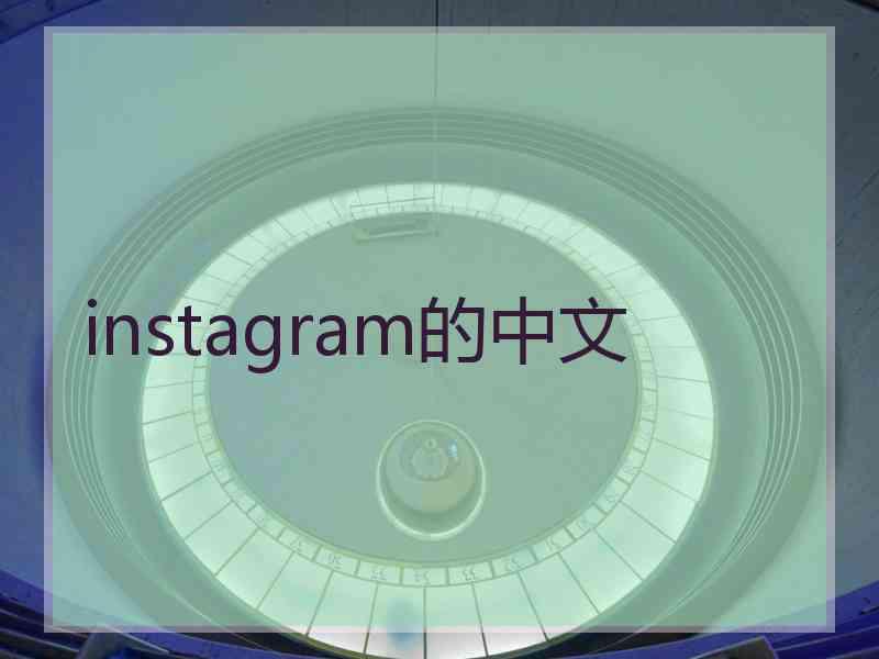 instagram的中文