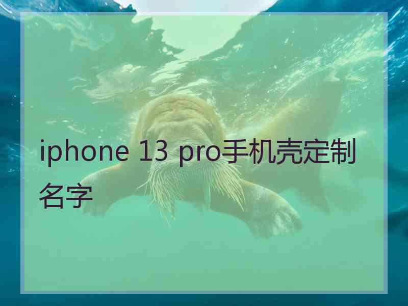 iphone 13 pro手机壳定制名字