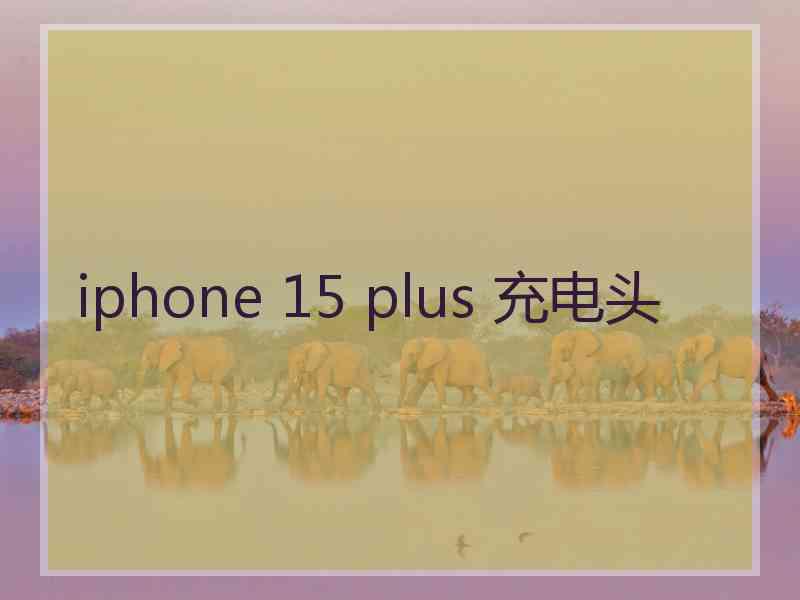 iphone 15 plus 充电头