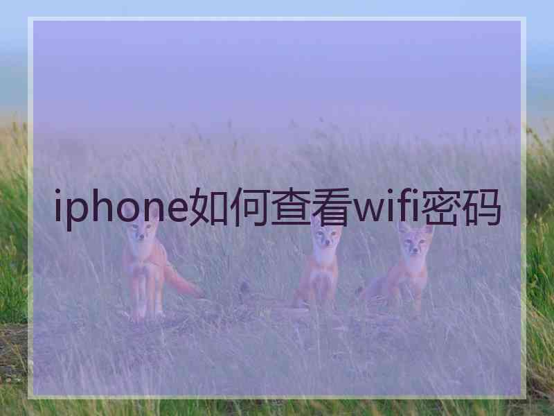 iphone如何查看wifi密码