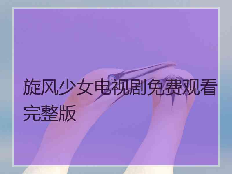 旋风少女电视剧免费观看完整版