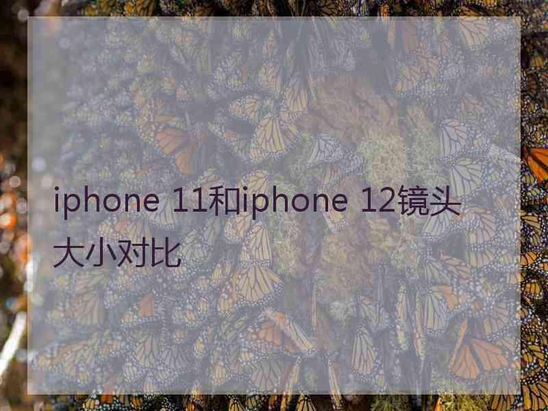 iphone 11和iphone 12镜头大小对比