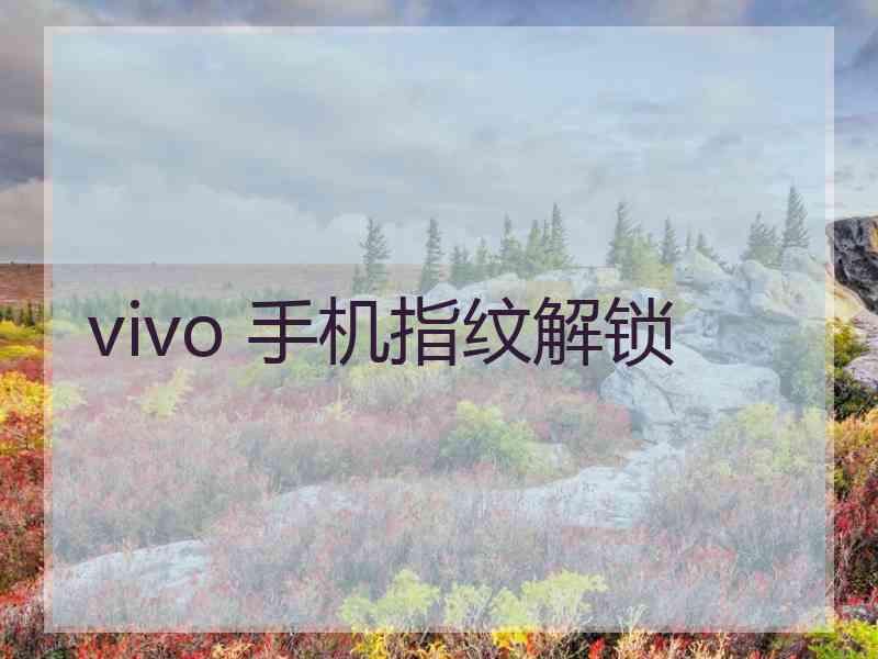 vivo 手机指纹解锁