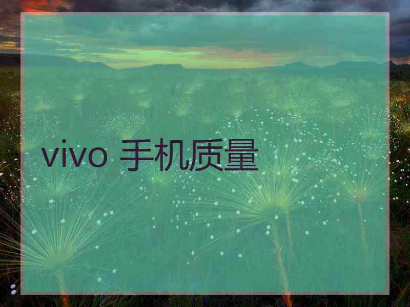 vivo 手机质量