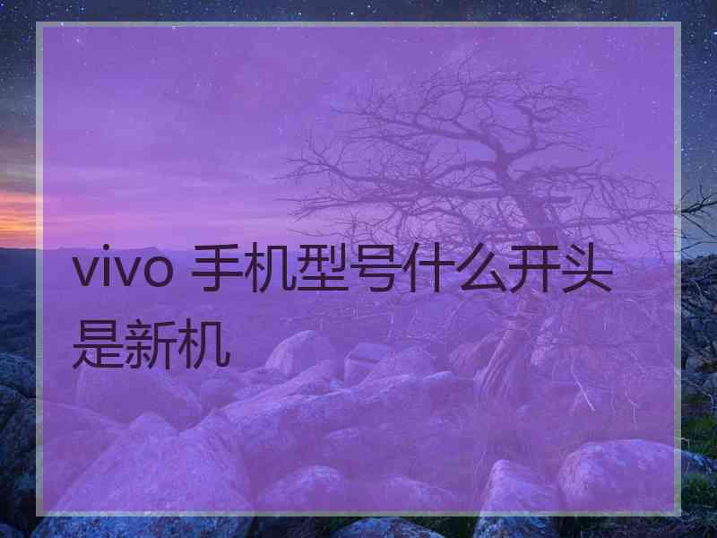 vivo 手机型号什么开头是新机