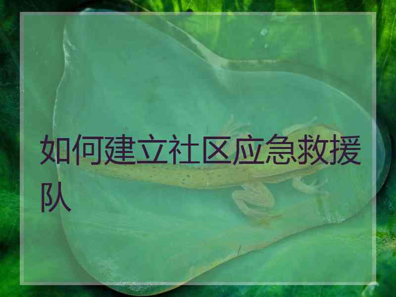 如何建立社区应急救援队