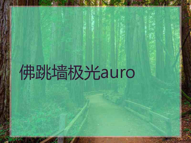 佛跳墙极光auro