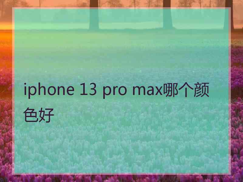 iphone 13 pro max哪个颜色好