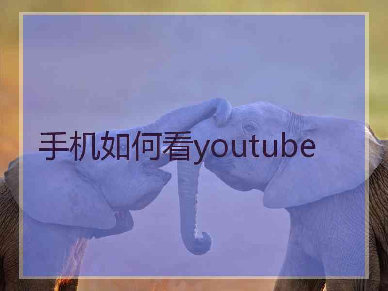 手机如何看youtube