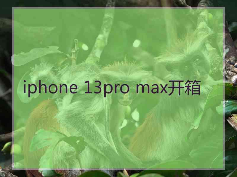 iphone 13pro max开箱