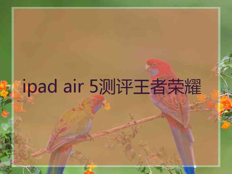 ipad air 5测评王者荣耀