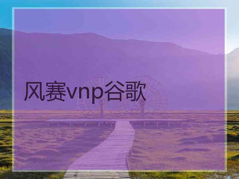 风赛vnp谷歌