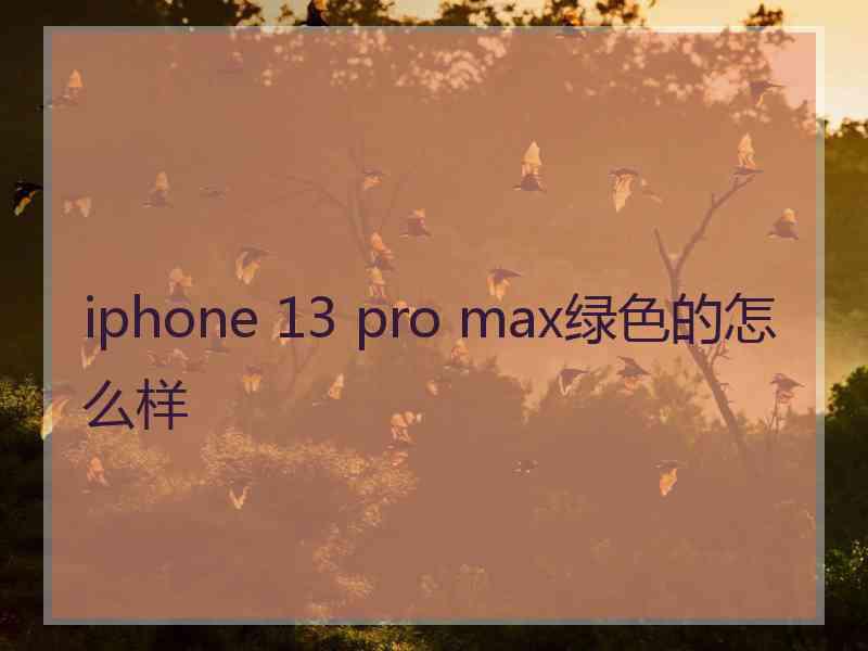 iphone 13 pro max绿色的怎么样