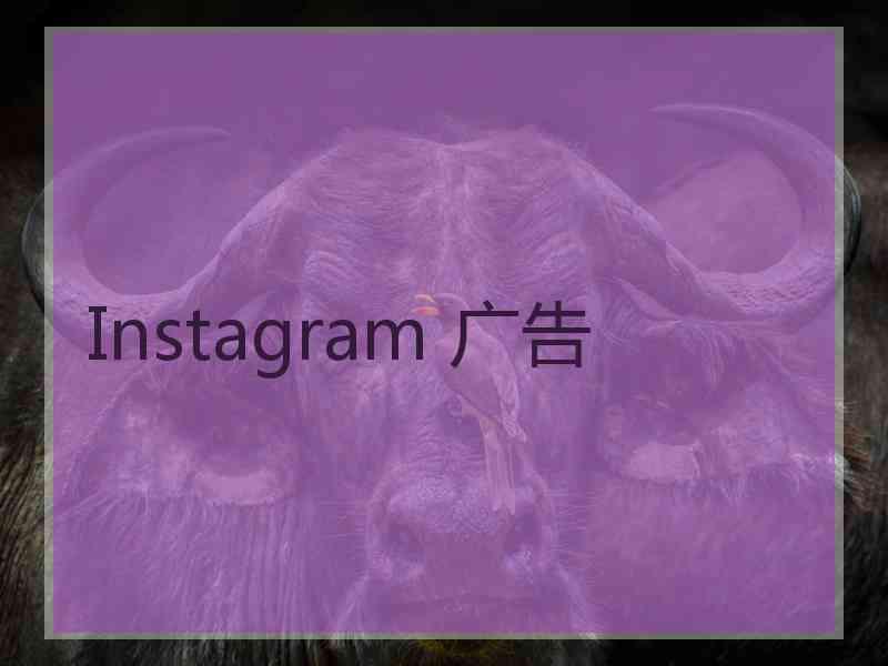 Instagram 广告