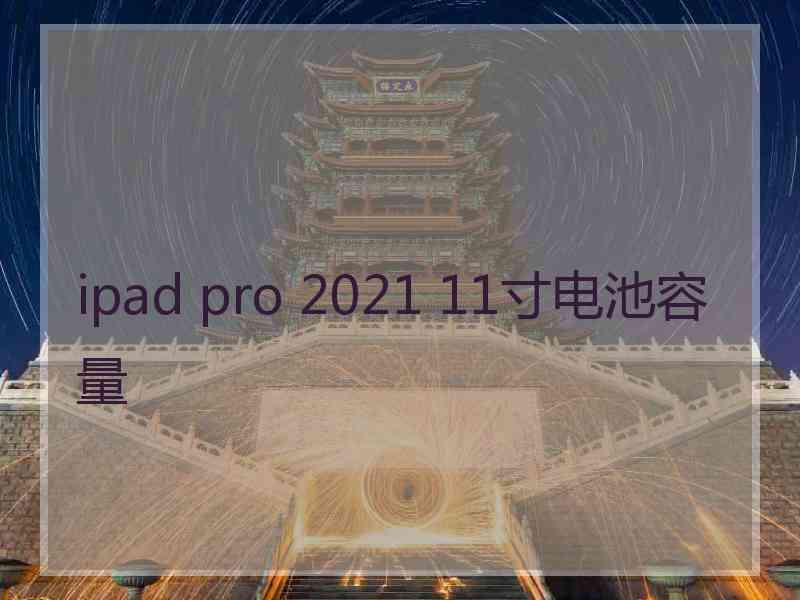 ipad pro 2021 11寸电池容量