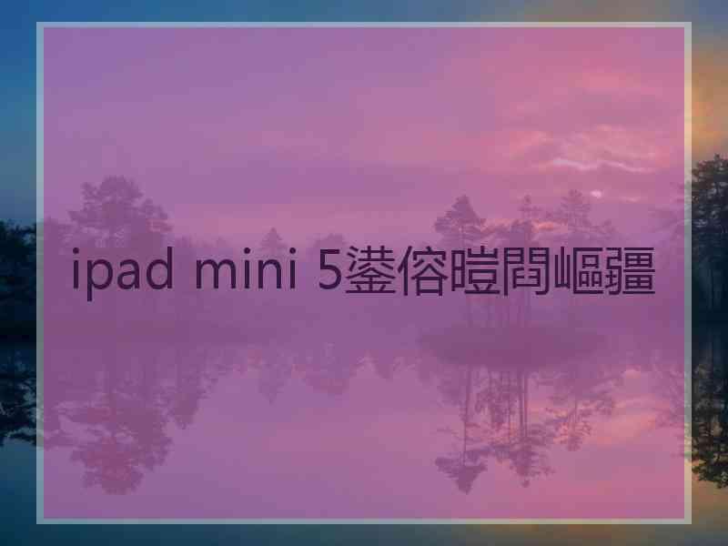 ipad mini 5鍙傛暟閰嶇疆